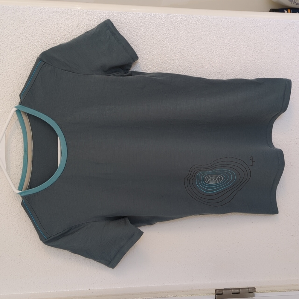 Icebreaker Merino T-shirt